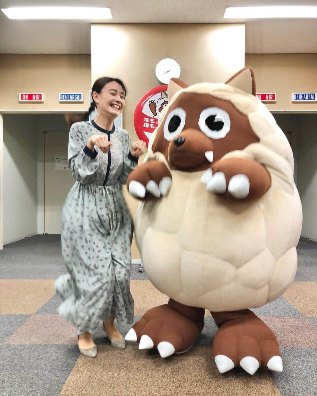 望木聡子さんのインスタグラム写真 - (望木聡子Instagram)「#ドデスカ 金曜６時台の‬「どうぶつZOO鑑」‬ ‪今週の主役はこの動物！  写真を見て何の動物か当ててくださいね📸 前にもピョンピョン写真を投稿しましたが あの時とは違う動物なんです…。  カンガルーやワラビーに似ていますが カピバラと同じネズミの仲間みたいです🐭  #メーテレ #ウルフィ #アナウンサー #望木聡子」3月16日 19時22分 - satoko_mochiki