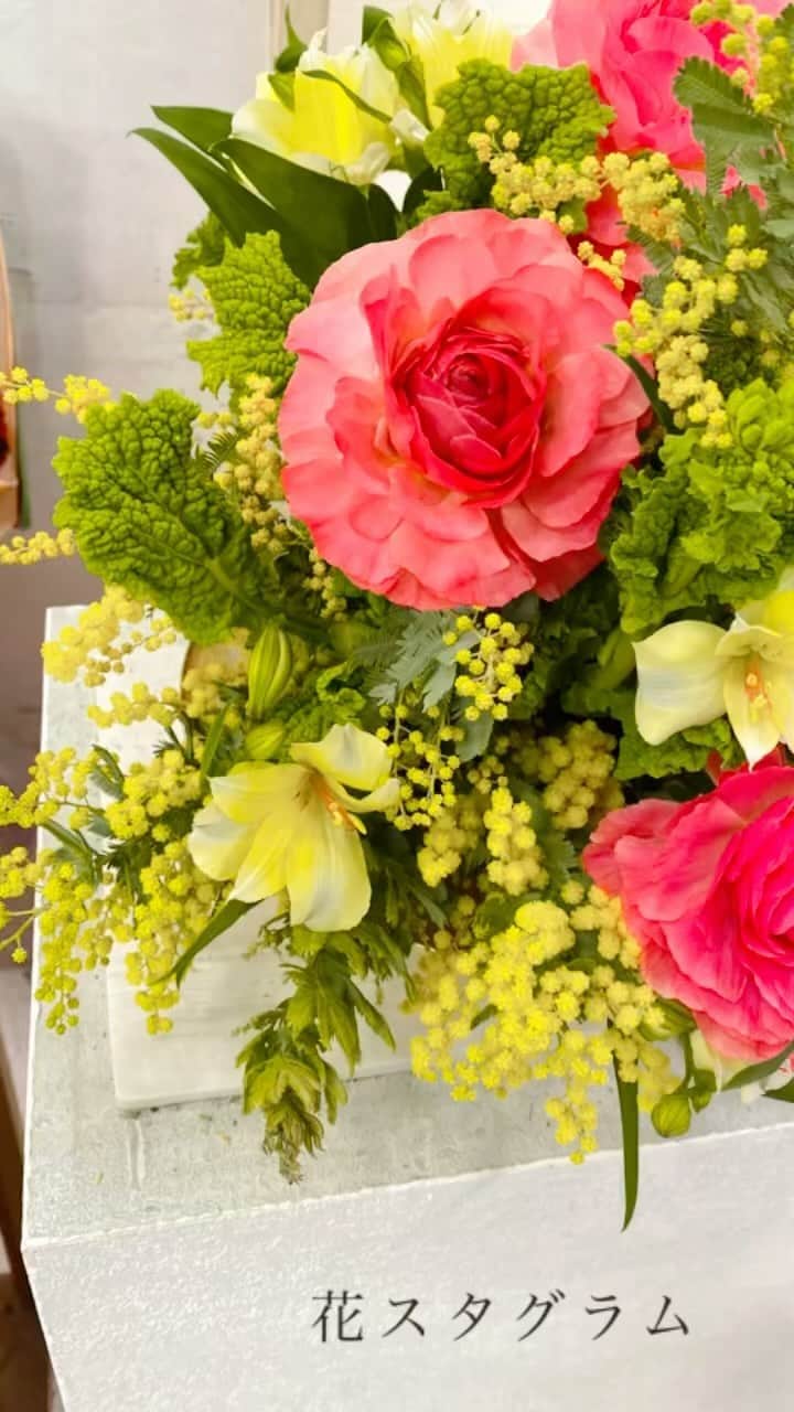 のインスタグラム：「３月前半の花スタグラム💐 今回はリールで作ってみました！ 春は可愛い花がたくさん出てきますね〜🥰  #上山真未 #花スタグラム #flowers」