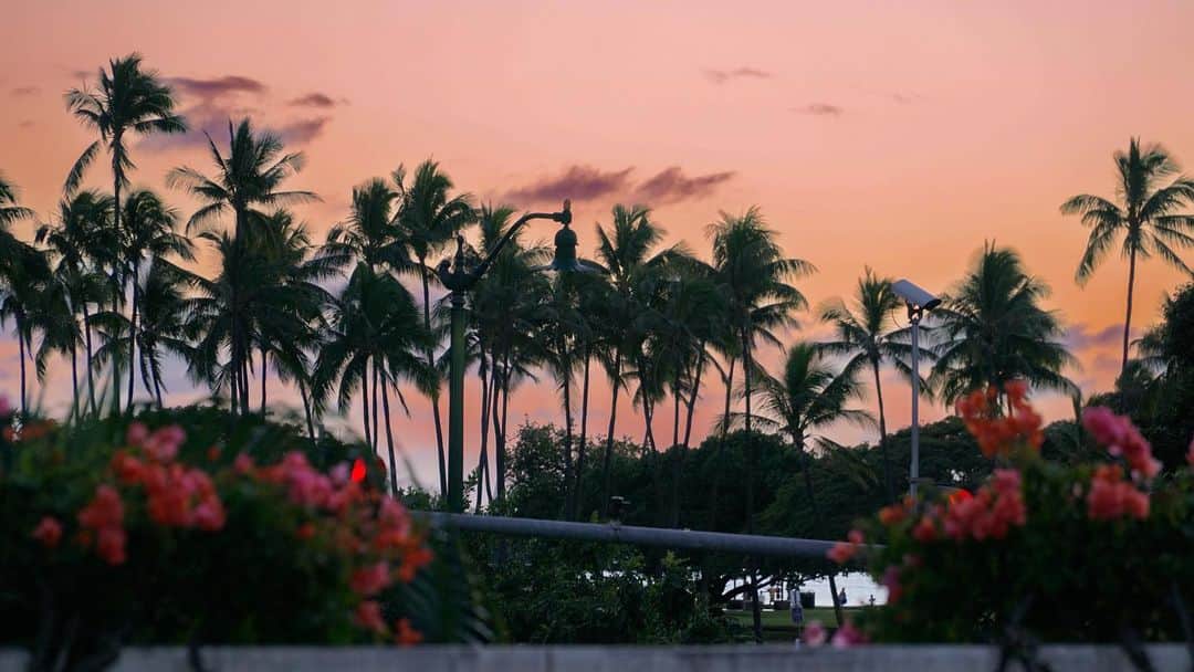 Mieさんのインスタグラム写真 - (MieInstagram)「おはよん🧡 アラモアナショッピングセンターから アラモアナビーチを見下ろした景色を みんなへ✨🥰  #ハワイ #旅行  #ハワイにきてね #wemissyou #alamoana」3月17日 6時39分 - miefromhawaii