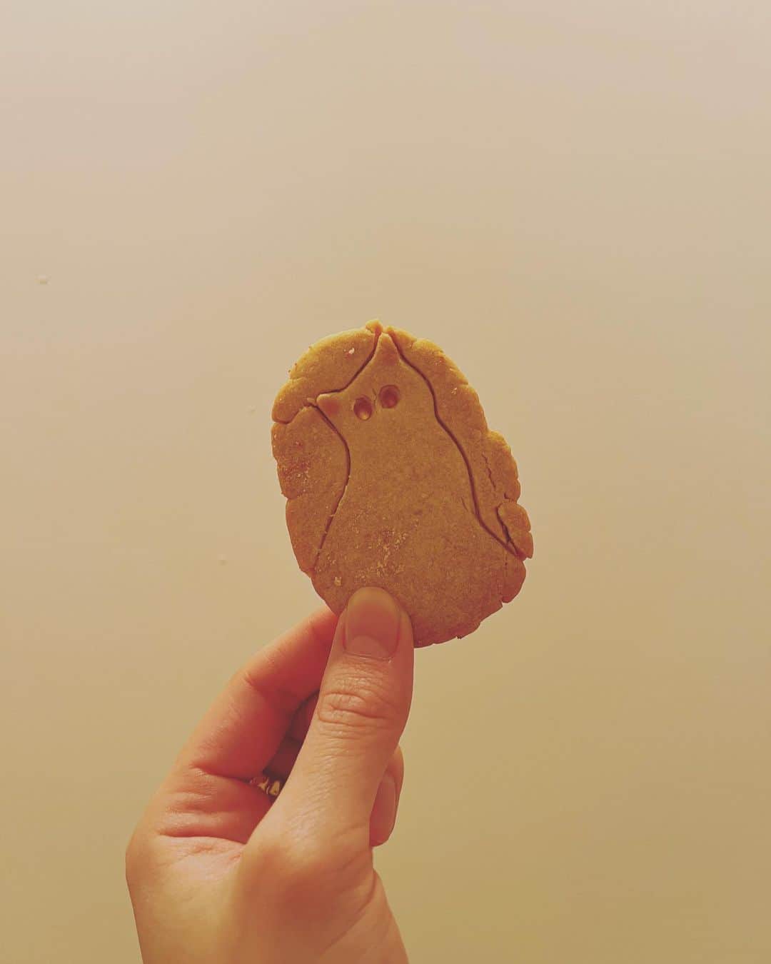 渡邉香織のインスタグラム：「出土したおいしい肖像」