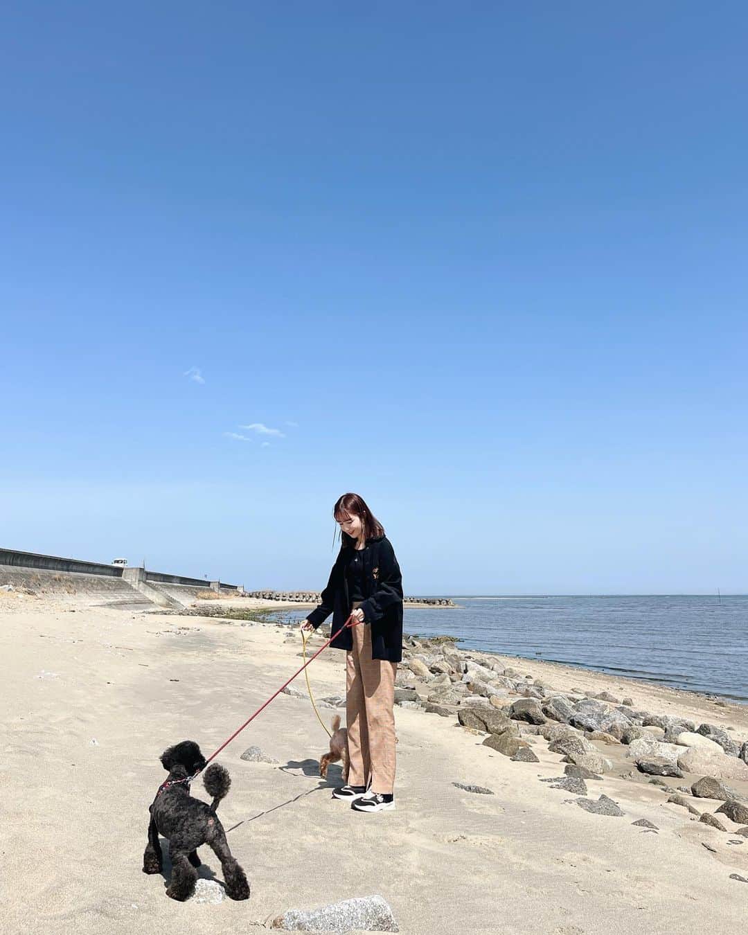 のインスタグラム：「少しだけやったけど、実家へ帰って愛犬達に会えた🐶 毎回帰ると、めっちゃ喜んでくれるの嬉しい♡笑 動画も撮ったから、編集できたらYouTubeに載せるね😌  jacket @aclent_official tops @sly_official pants @milkfedjp shoes @toryburch  #りかりこ#いぬ#犬のいる暮らし#海#いぬすたぐらむ#プーチー#トイプードル#愛犬#三重#春服#春コーデ#ファッション#오오티디」