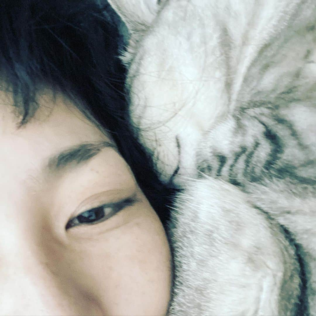 板谷由夏 さんのインスタグラム写真 - (板谷由夏 Instagram)「今日もみなさんおつかれさまです。 戦争、地震、コロナ。ほかにもあるね。 なんだかどんより苦しく、悲しく、心が重くなる。 自分に何が出来るんだ？って考えても やれることには限度があって 無力さに落ち込むことも多い。 共感しても、その、心の行き場がぼやけていたり。  今日読んだ文章で、そんな時は、身近な人たちに優しくすることが、心が落ち着くひとつの方法だとありました。 家族、友人、仕事の仲間、動物たち、植物たち。 近くにいる大事な人たちに、事柄に、優しく。 なるだけ優しく。 それならできるかもしれない。」3月17日 19時49分 - yukaitaya