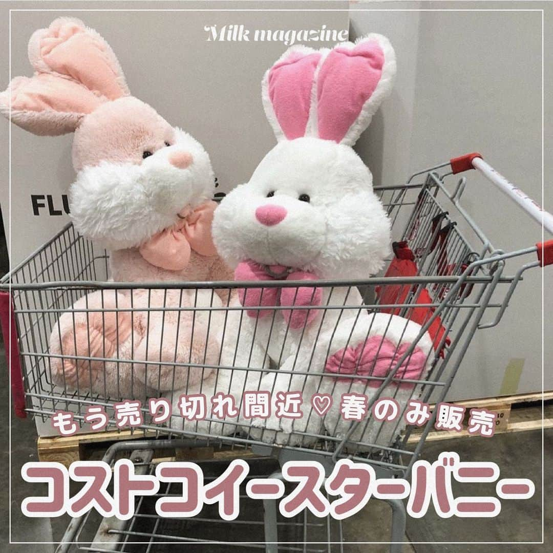 MOVE / ムーブのインスタグラム：「【期間限定】コストコのイースターバニー🐰💞  2022年のイースターバニーはアイボリーとピンクの2色で、  お値段2,998円🥺🥺🥺  毎年売り切れになるので 昨年間に合わなかった方は ぜひ今年ゲットしてみて下さい🤎  THANK YOU🐄 @kiiiiira443 @tjjgwh @wa__tye08 @___0125mirai @cocoel_s2   #milk_web をつけて投稿してみてね  #イースターバニー #コストコ #コストコ購入品 #ベッドルーム #ベッドルームインテリア #インテリア #ぬいぐるみ #うさぎのいる暮らし #イースター #コストコおすすめ #マイルーム #ワンルーム #ワンルームインテリア #一人暮らし #インテリア小物 #クッション」