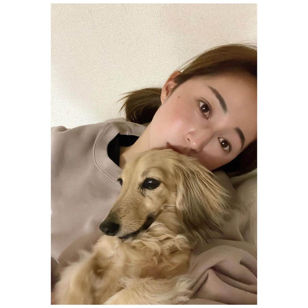 清水梨紗のインスタグラム：「. まったりタイム🐶💛 この時間が幸せです☺️  暖かくなってきて嬉しいけど、 花粉症がつらい季節🤧🌸 なにかいい花粉症対策あったら 知りたい〜」