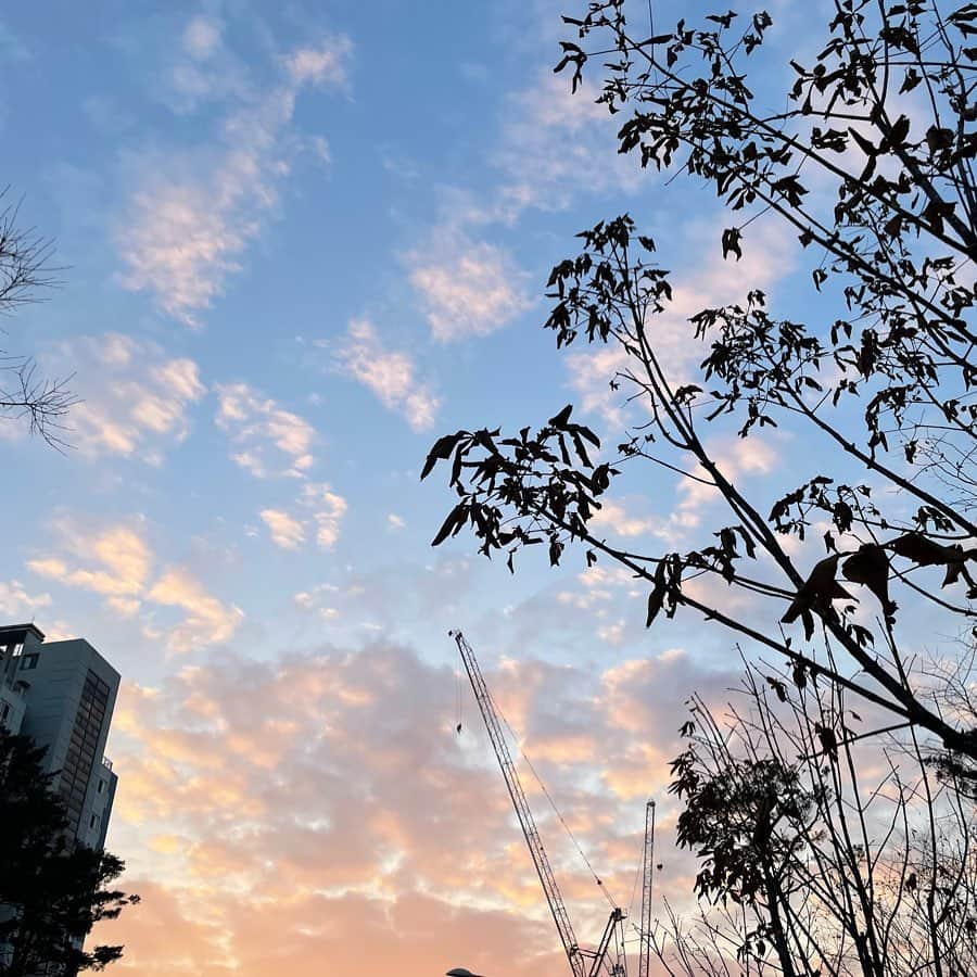 ジョンファのインスタグラム：「내가 너무나도 사랑하는, 나를 기분 좋게 만드는 딱 이 색감의 하늘☁️」