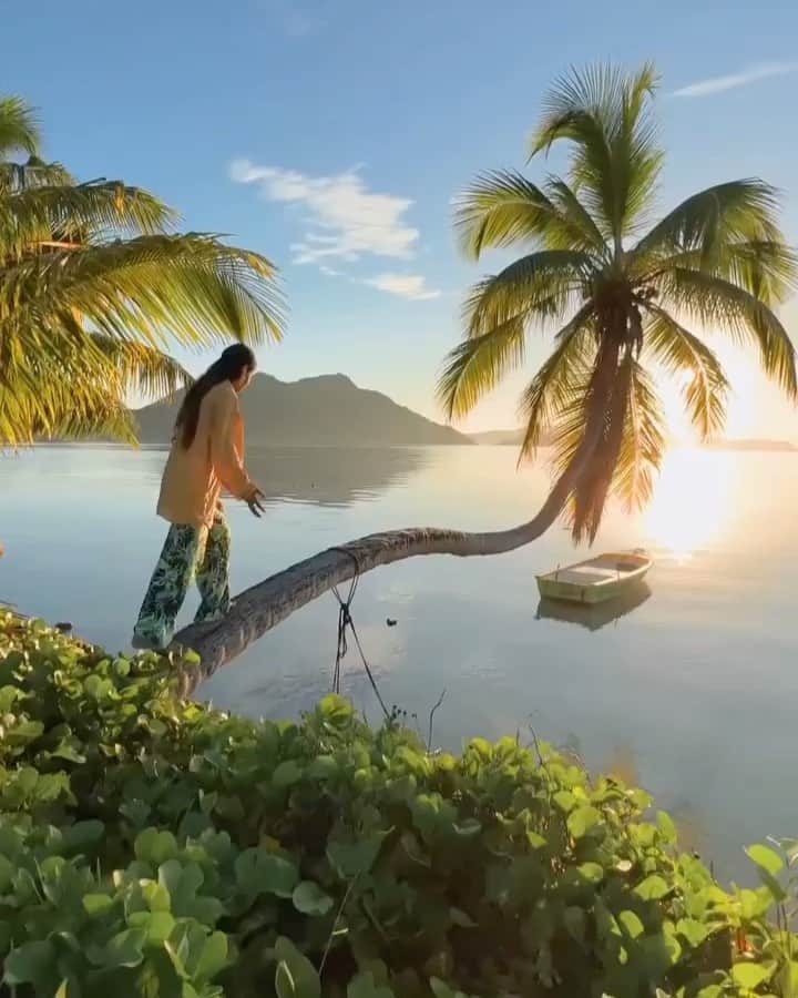 Awesome Wonderful Natureのインスタグラム：「Living that palm tree life on Praslin Island in Seychelles 🏝  Video by @destinationchaser  Music by: Lovexlofi - Umbrella (lofi) 🎶」
