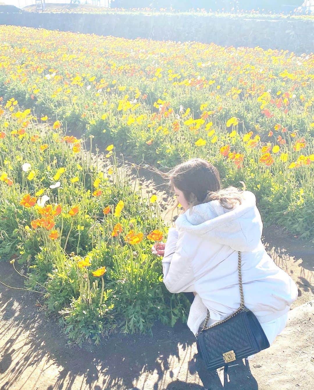 ゆーちゃんのインスタグラム