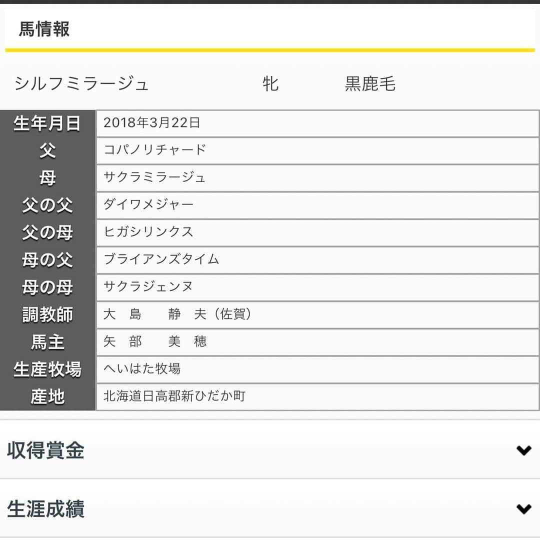 矢部美穂さんのインスタグラム写真 - (矢部美穂Instagram)「新しい愛馬情報です💛 シルフミラージュは牝馬です✨ 名古屋競馬場から佐賀へ転入しました✨  使いつつ良くなってくれたらと先生も言っていましたので応援宜しくお願いします📣 5レースに出走します🏇  #チーム地方競馬 #PR　 @nar_keiba_official  #馬主 #馬主ライフ #シルフミラージュ #40代  #矢部美穂」3月18日 9時13分 - miho.yabe.0607