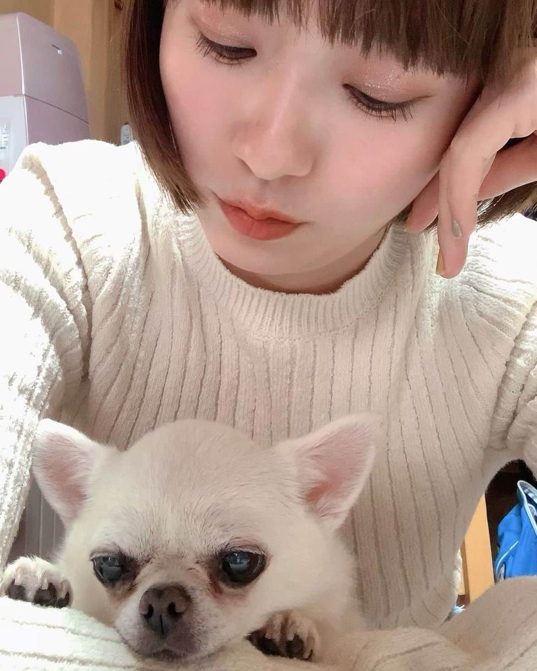 伊藤千晃のインスタグラム：「今日は朝から息子がオネショして、ちーん🥲 ⁡ 息子がママごめんなさいって言ってきたのが可哀想で、さらにちーん🥲🥲 ⁡ オネショは悪い事じゃないから怒ってはないんだけどな😂 ⁡ 息子からしたら怒られるって思ったんだろうね。 ⁡ 私、普段からそんなに怒りんぼなのかな🥲 ⁡ と聖ちゃんに呟いてみる🐶 ⁡ #チワワ #4歳息子  ⁡」