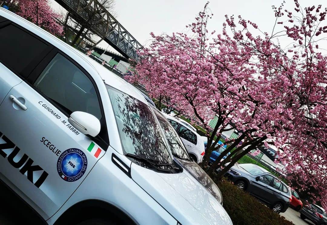 のインスタグラム：「Spring is coming 🌸  #spring #flowers #suzukivitara #suzukiesport #suzukiitalia #suzukihybrid #fisg4passion #weekendvibes」