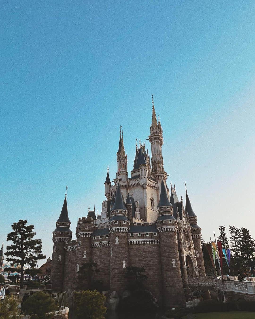上野智子のインスタグラム：「🐭👑❤️  暖かかった日〜:) 10-20代のトレンドがよくわかる場所でもあるよね、本当に久しぶりに行ったのだけど驚きがたくさんでした😳  #tokyodisneyland」