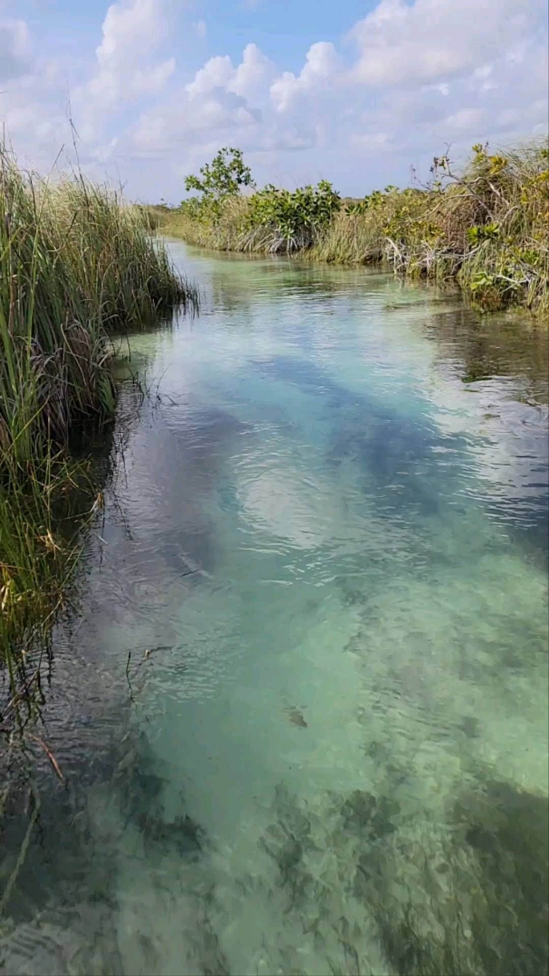荒木さやかのインスタグラム