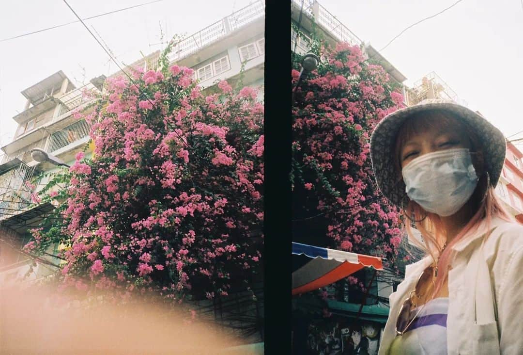 小林レイミさんのインスタグラム写真 - (小林レイミInstagram)「Date day 🌸   📷@nqmoh   #konicarecorder」3月19日 15時01分 - _reimi._____