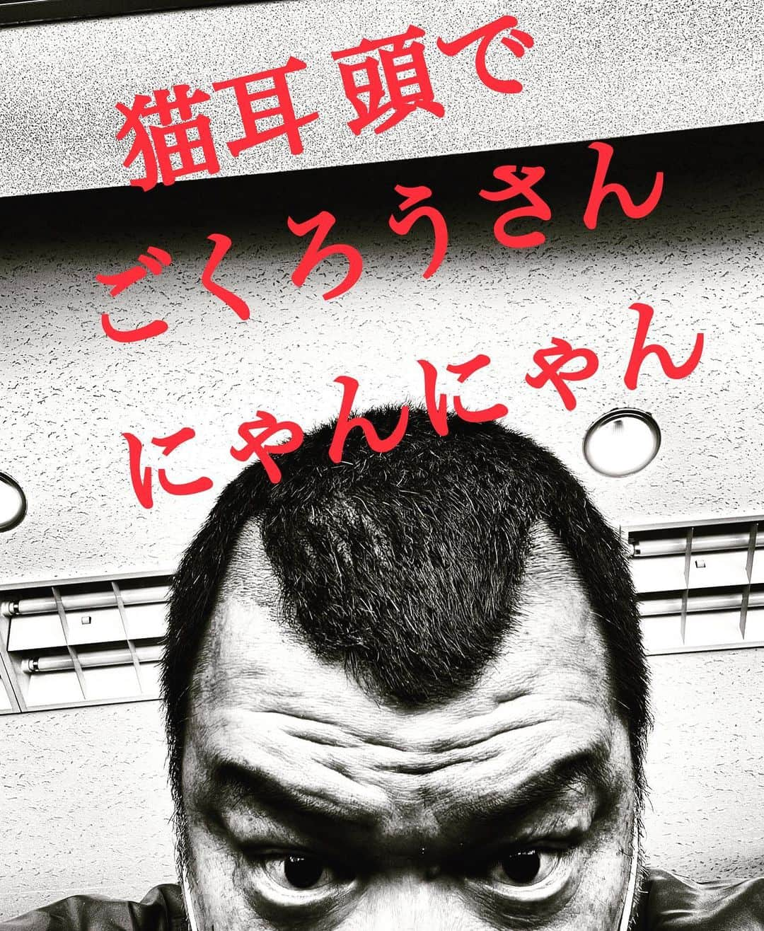 くっきー（川島邦裕）さんのインスタグラム写真 - (くっきー（川島邦裕）Instagram)「#にゃん(やぁ) #にゃんにゃ(今日は) #にゃんにゃん(あったかいね) #にゅんにゃにゃ(いっぱい) #にゃにゃにゃ(外で) #にゃにゃにゃにゃにゃ(遊ばなきゃ) #にゃ(あっ) #にゃんにゃーにゃ(パンティーが) #にゃにゃにゃむ(落ちてる) #にゃにゃにゃにゃにゃ(貰ってこ) #にゃんにゃん(ばいばい) #… #女子高生に媚びた投稿ですいません」3月20日 12時34分 - nikuguso_taro