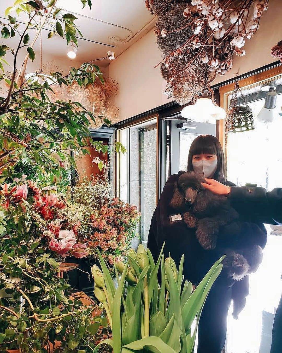 新井貴子のインスタグラム：「Sunday morning🌿  チームもこもこ🐩🐑☁️」