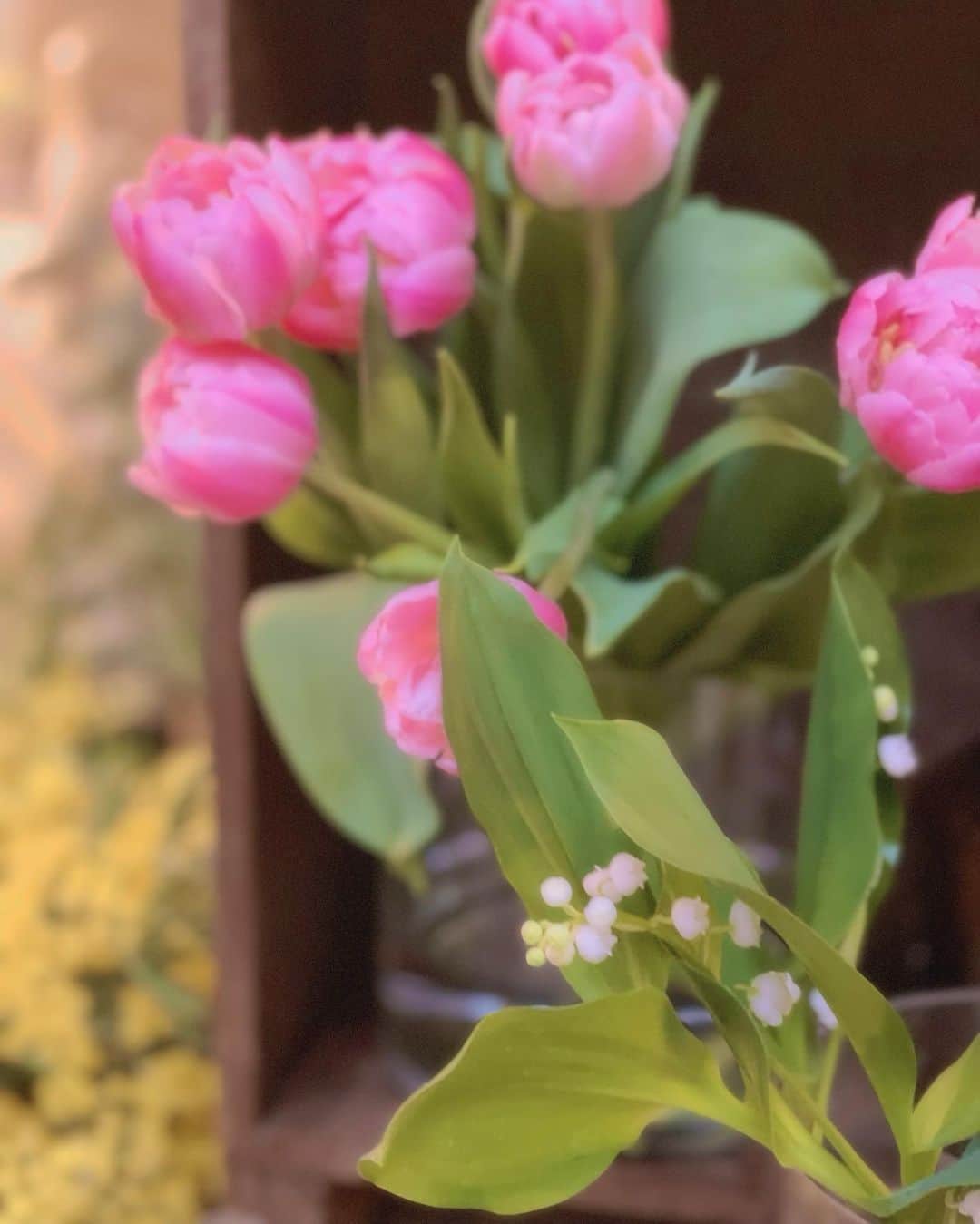 サキ吉さんのインスタグラム写真 - (サキ吉Instagram)「昔おじいちゃんちのお庭の池の周りにすずらん咲いてたの思い出した⸜🌷︎⸝‍ 可愛い……🫶 ． #flowers  #🌷」3月20日 14時20分 - sakikichi1201