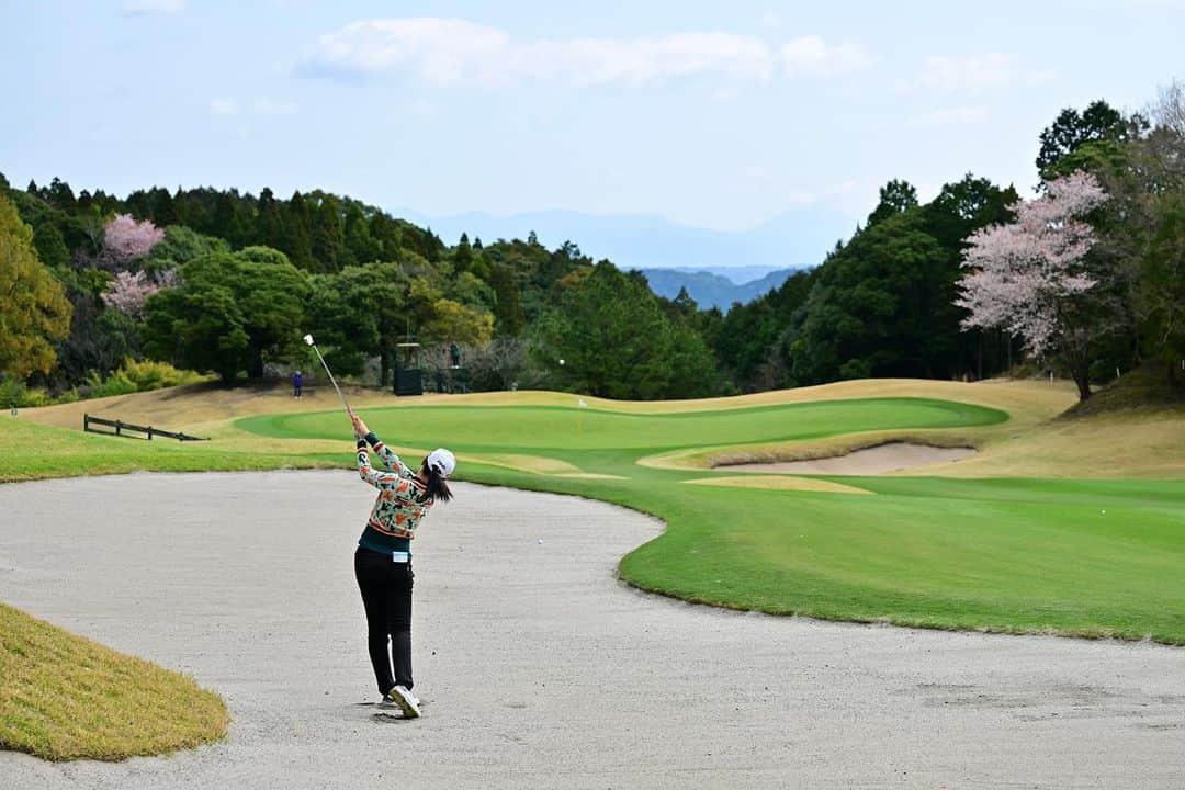 セキユウティンさんのインスタグラム写真 - (セキユウティンInstagram)「2022年的第一场比赛，陪着樱花🌸盛开的一周～谢谢大家对我的鼓励☺️応援ありがとうございます❣️ 📷：Atsushi Tomura🙏🏻 #tポイントゴルフ  #jlpga  #ゴルフ女子」3月20日 16時32分 - shi_yuting35