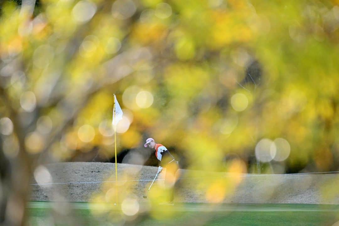 セキユウティンさんのインスタグラム写真 - (セキユウティンInstagram)「2022年的第一场比赛，陪着樱花🌸盛开的一周～谢谢大家对我的鼓励☺️応援ありがとうございます❣️ 📷：Atsushi Tomura🙏🏻 #tポイントゴルフ  #jlpga  #ゴルフ女子」3月20日 16時32分 - shi_yuting35