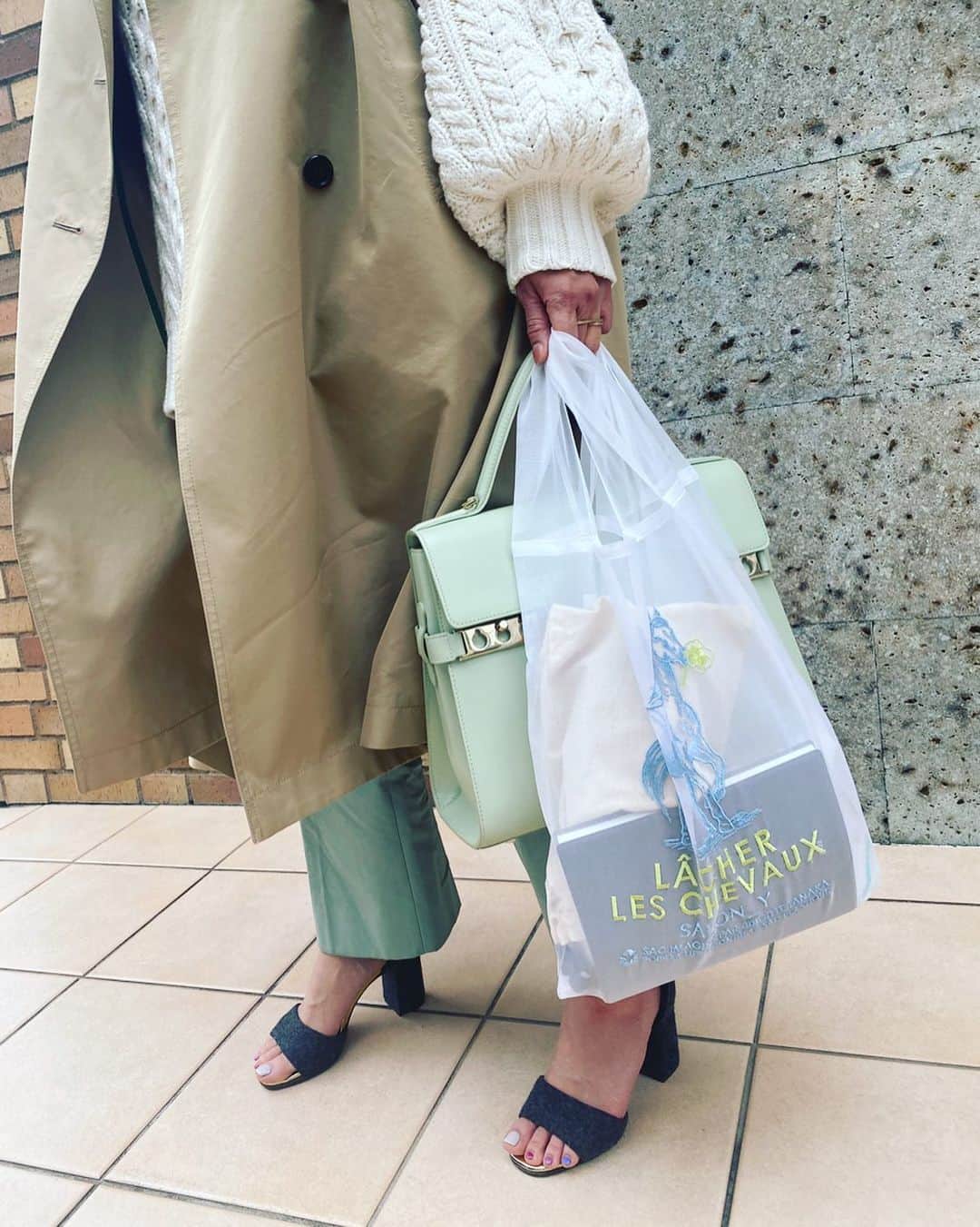 風間ゆみえのインスタグラム：「BRIGITTE TANAKA×SALON_Y  organza bag “Horse"  再販スタートしました‼︎ 🐴🌼  @salon_y.official」