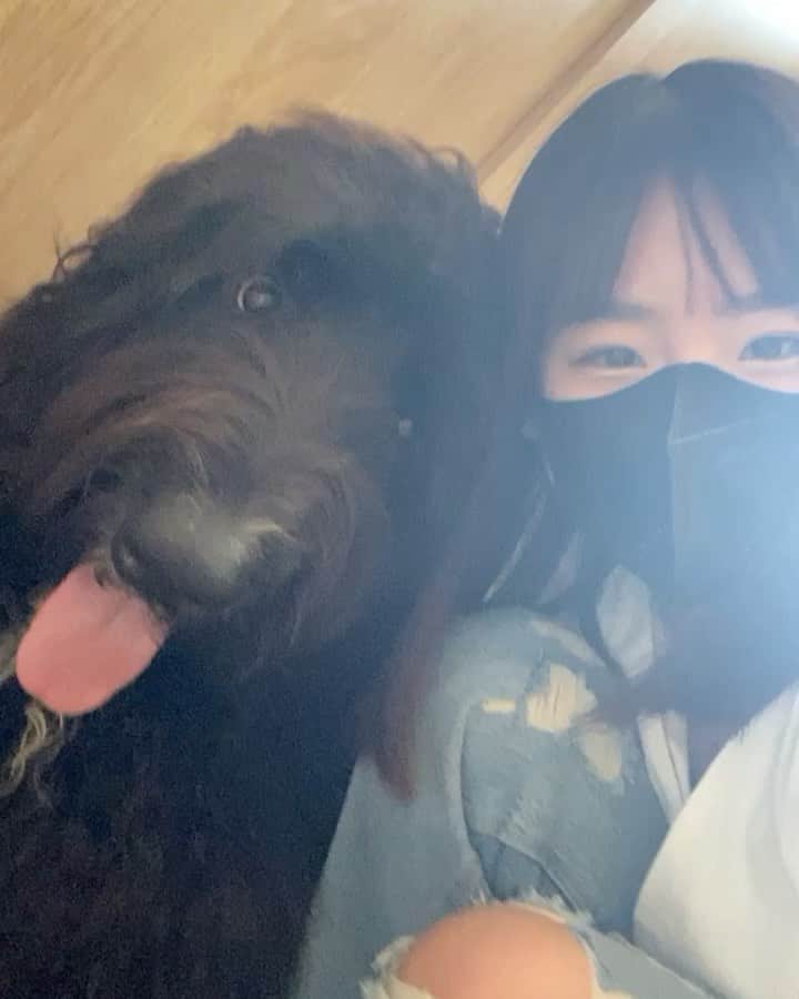 仲川遥香のインスタグラム：「Happy sunday🐶  #dogcaffe #dog #犬 #ドックカフェ #ジャカルタ生活」