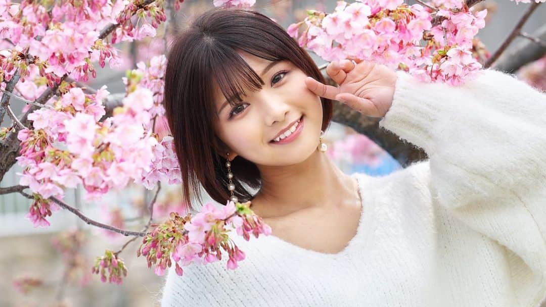 山本ゆうかのインスタグラム：「ここは神戸の河津桜スポット🌸 小さな公園ですが菜の花も咲いているので、オススメです。 県立美術館から歩いて10分くらいのところ🍡  関係ないですが、最近明菜ちゃんの難破船を練習中です。」