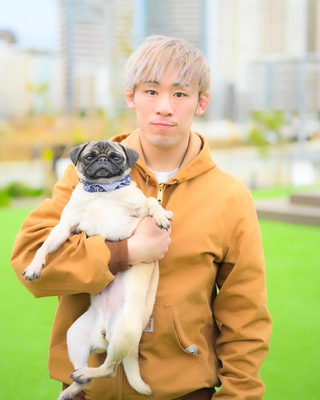高須将大のインスタグラム：「日曜日refresh🙌 -  #パグ #ブサかわ #保護犬 #犬のいる暮らし #いぬすたぐらむ #犬好きな人と繋がりたい #犬バカ部 #ふわもこ部 #犬のいる生活 #いぬのきもち #pecoいぬ部 #サンデイ #puppy #dogstagram #dogoftheday #doglover #doglife」