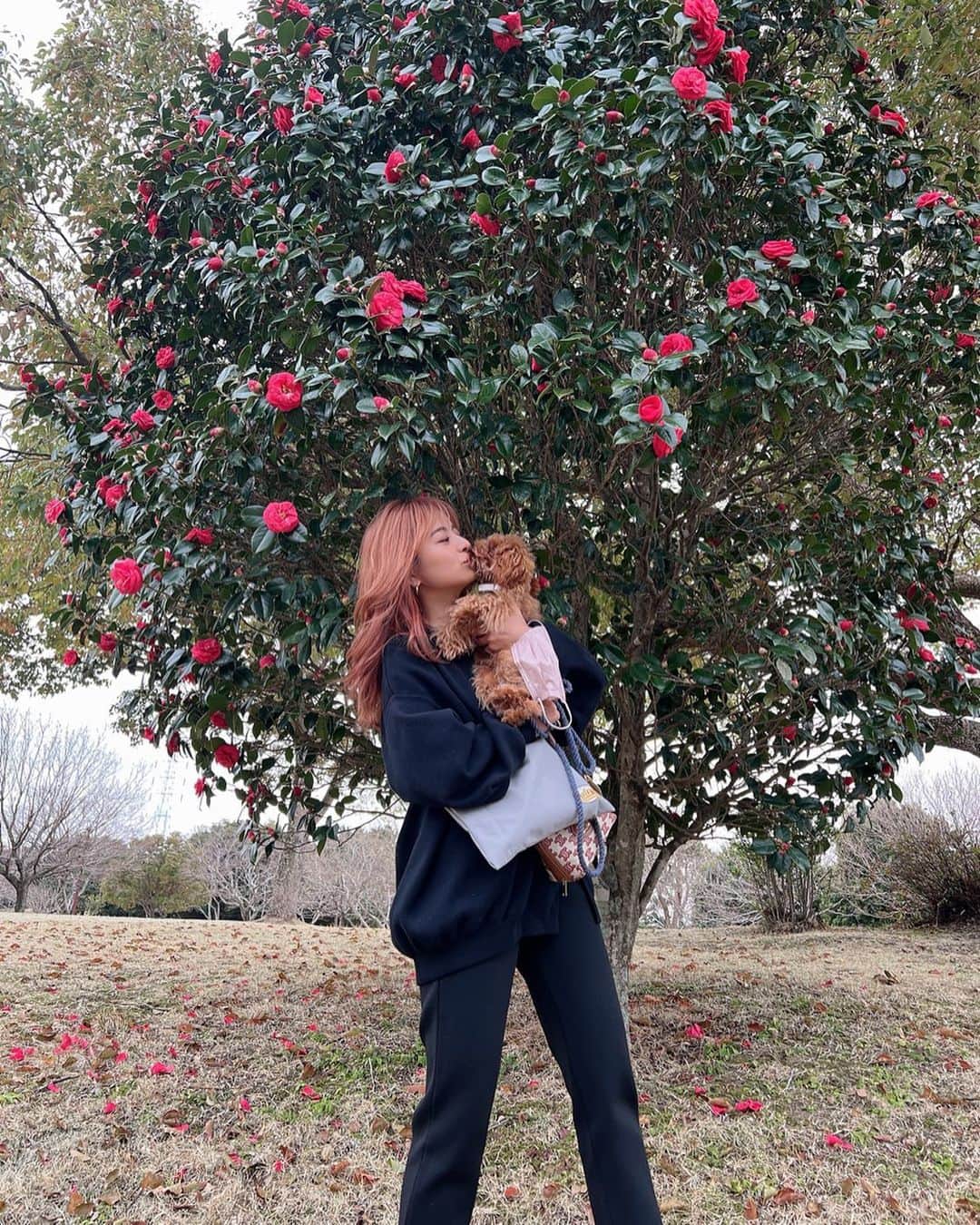 のインスタグラム：「色んなところにお散歩に行けるようになった ラブ様と🐶💗  人間のことが大好きで すれ違う人みんなに尻尾ふりふりみんなにかわいいねぇと 言ってもらえて幸せものだね😌  ...＊ tops : @searoomlynn_official  pants : @searoomlynn_official」