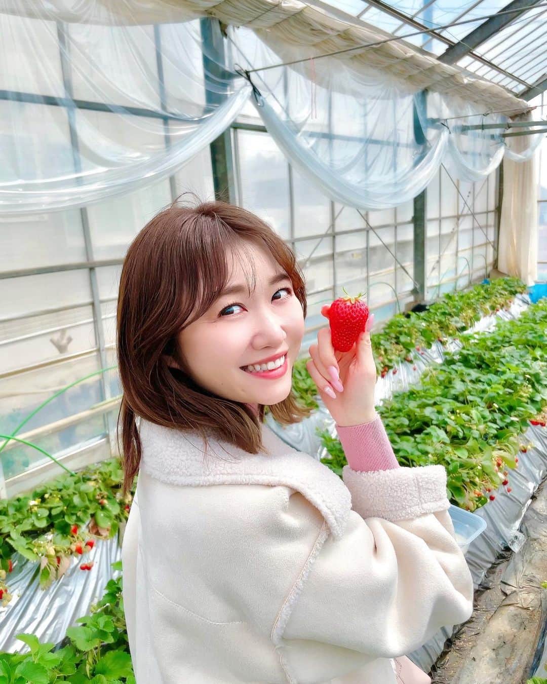 のインスタグラム：「#🍓  今年もいちご狩りへ行けました♪ 毎年この時期が楽しみで、 1月頃から心待ちにしています！  子供の頃はいちごが苦手だったのに… 今は大好きなのが不思議です。  #イチゴ狩り #いちご #いちご狩り #イチゴ #strawberry #苺 #休日 #食べ放題 #苺狩り #章姫 #大好き #お出かけ #いちごがり #いちご好き #instagood #イチゴ大好き #lfl #イチゴ狩り🍓 #幸せ」