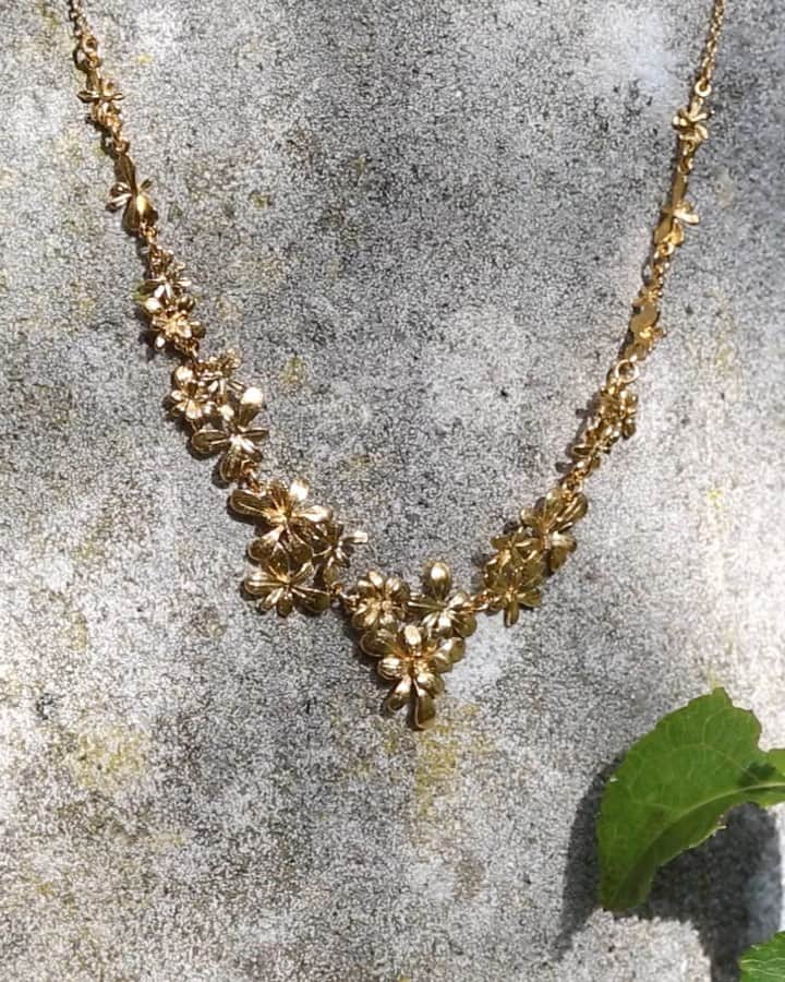 のインスタグラム：「✨ Coming Soon ✨  A New Collection will soon be springing to life at Alex Monroe 🌱  Sign up to The Hive via the link in bio to be the first to discover! 🪴   #AlexMonroeJewellery #AlexMonroe #NewCollection #InspiredbyNature #HandmadeinEngland #SustainablyMinded #ResponsiblyMade」