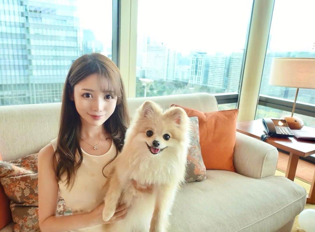 かなのインスタグラム：「ロミとホテルステイ🐶❤️❤️ #ペニンシュラ東京 #ThePeninsula #デラックススイート #犬と泊まれるホテル #愛犬との暮らし #愛犬とおでかけ #ポメラニアン #Pomeranian #犬のいる暮らし #愛犬と泊まれるホテル #犬と泊まれる宿 #愛犬と泊まれる宿 #犬好きな人と繋がりたい #犬のいる生活 #犬と旅行 #mytrip #travel #美しい景色 #luxurytravel #luxuryhotel #ビジョビ #国内旅行 #旅行」