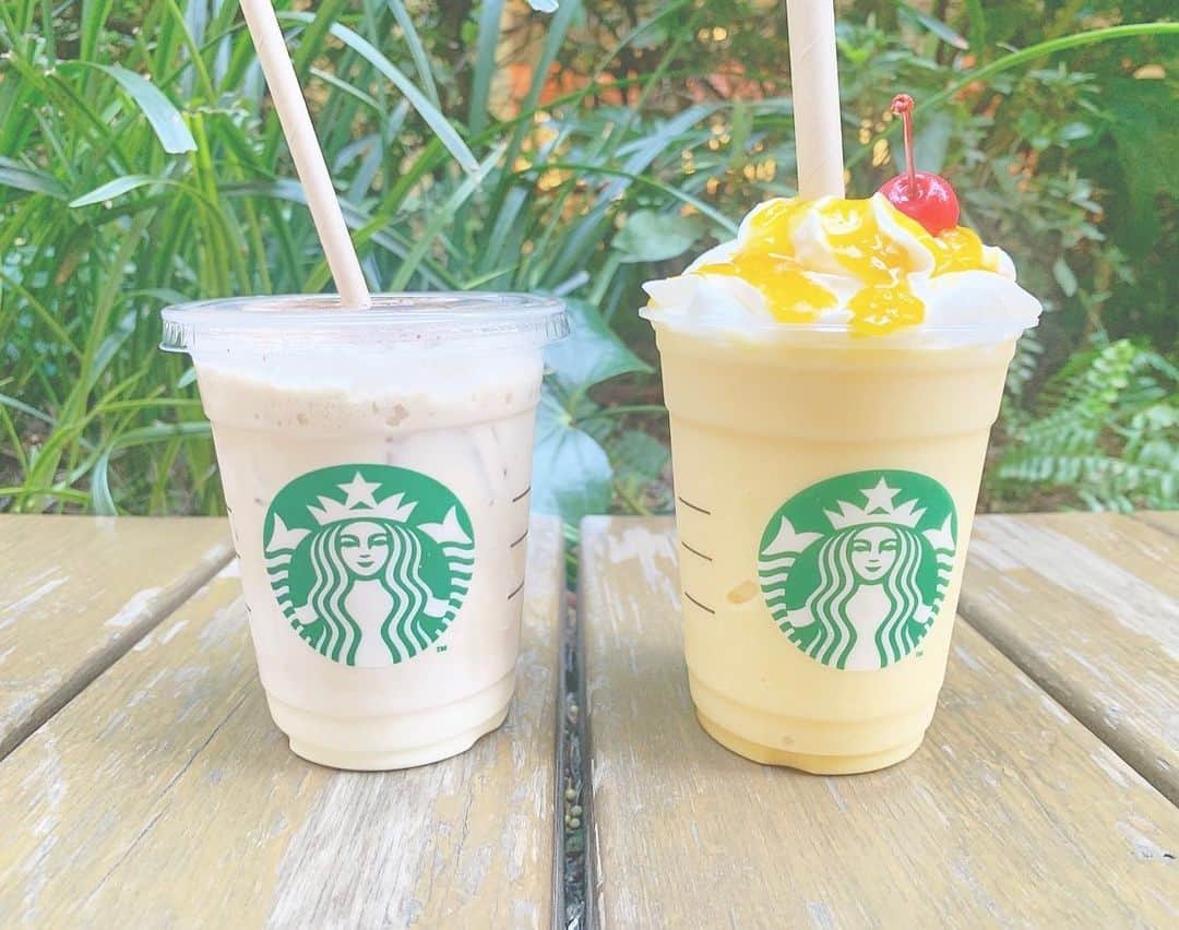 宮崎梨緒のインスタグラム：「☕️☕️☕️ * #ふわふわムースコーヒーGYUNEW  #フルーツGYUNEWフラペチーノ  どっちもめっちゃ美味しかった🤤  記事も書いたから見てね♥︎ https://jocr.jp/raditopi/2022/03/19/418541/  * #スターバックス #スタバ #スタバ新作  #コーヒーGYUNEW  #フルーツGYUNEW」