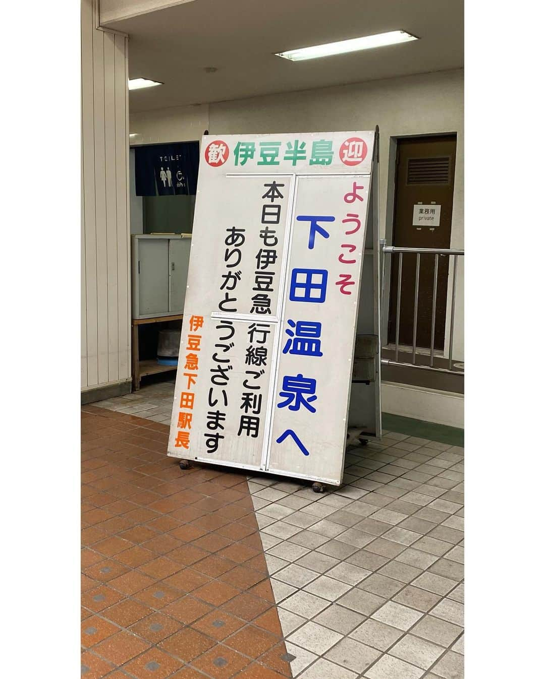 南早紀のインスタグラム：「『温泉むすめトークイベントin伊豆下田』ありがとうございました♨️✨  静岡県伊東温泉の温泉むすめ、伊東椿月役の鈴木絵理さん（チキンちゃんと呼ばせて頂いております🐥💓）と一緒に出演させて頂きました☺️  私は静岡県下田温泉の温泉むすめ、下田莉華ちゃんを演じさせて頂いていますが、下田市に降り立つのは初めてで、今日が本当に楽しみで仕方がありませんでした✨  チキンちゃんと一緒に色んな場所に行かせて頂きましたが、中でも1番ビックリしたのが『市場の食堂 金目亭』さんのお料理！ 私は金目鯛の炙りを頂きましが、めちゃくちゃ美味しすぎてお箸が止まりませんでした🤤 伊豆伊豆産のふのりのお味噌汁も美味しかったなぁ….！  下田海中水族館ではペンギンやカワウソなど可愛いの暴力を沢山受けてきました😍😍 そしてアシカとイルカのショーを見させて頂きましたが、可愛いやら賢いやら感動するやらでずっと拍手しておりました…尊い…🐬💫  そしてペリーロードも行かせて頂きましたが、温泉むすめの衣装とめちゃくちゃ合ってませんか？🥰 因みにチキンちゃんとはここで唐揚げの話で盛り上がりました（笑） そうそう、下田莉華ちゃんのお洋服もペリーロードを感じさせるようなデザインなんですよ☂️✨  下田開国博物館では、下田莉華ちゃんの等身大パネル、その隣のお土産屋さんの豆州庵さんでは莉華ちゃんのお酒も置いて頂いています🍶💙💖  改めて色んな場所に莉華ちゃんのグッズが置いてあったの、本当に嬉しかったなぁ。 温泉むすめのポスターが貼ってるのを見るのも凄く嬉しいのに、莉華ちゃんのグッズまで….😭✨ 本当に幸せな２日間でした！ トークイベントも足を運んで来て下さってありがとうございました☺️ 楽屋花もすっっごく嬉しかったです💐 久しぶりに生でお花を見たので、お花を見るたびにご機嫌になってました….本当に本当にありがとう！ あと皆さんと一緒の旅館（ホテル伊豆急さん）に泊まるのも中々ないですよね！ 何かドキドキしました♨️💞笑  次は必ず下田の温泉に入るぞー！ プライベートで必ず！！  ここまで呼んでくれてありがとう🙇‍♂️✨」