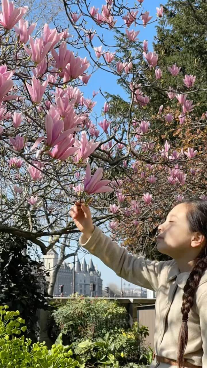 フィロとポンポンのインスタグラム：「Un beau dimanche de Printemps…💕」