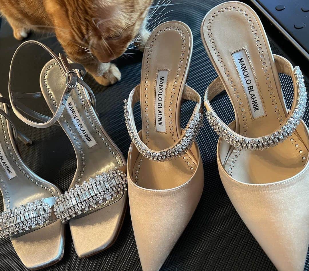 里美ゆりあのインスタグラム：「お店用に♡  #manoloblahnik  #ヒール #ミュゼルヴァ #六本木 #里美ゆりあ」