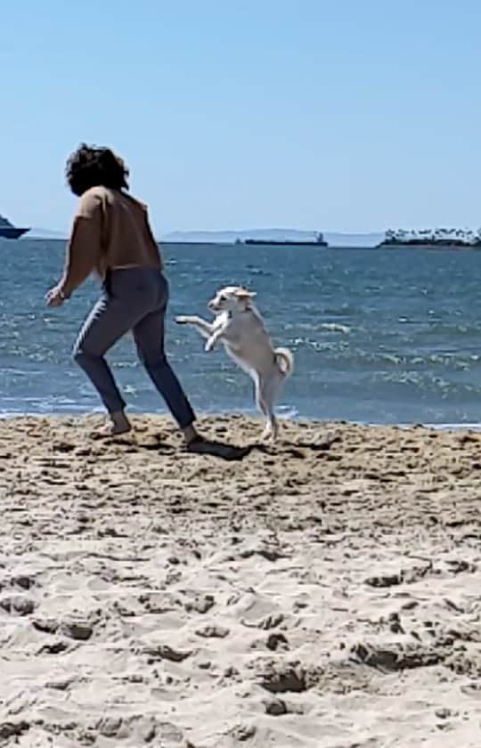 ハナー・ハートのインスタグラム：「we had such a happy day ☀️」