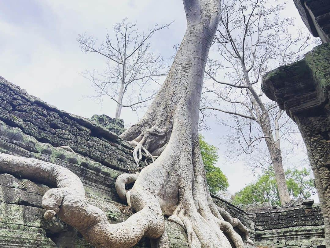 斎藤陽介さんのインスタグラム写真 - (斎藤陽介Instagram)「Back in Ancient century #angkortemples #angkorwat #angkorwattrip #cambodia #cambodiatravel #travel #travelphotography #travelgram」3月21日 11時25分 - yosuke0407