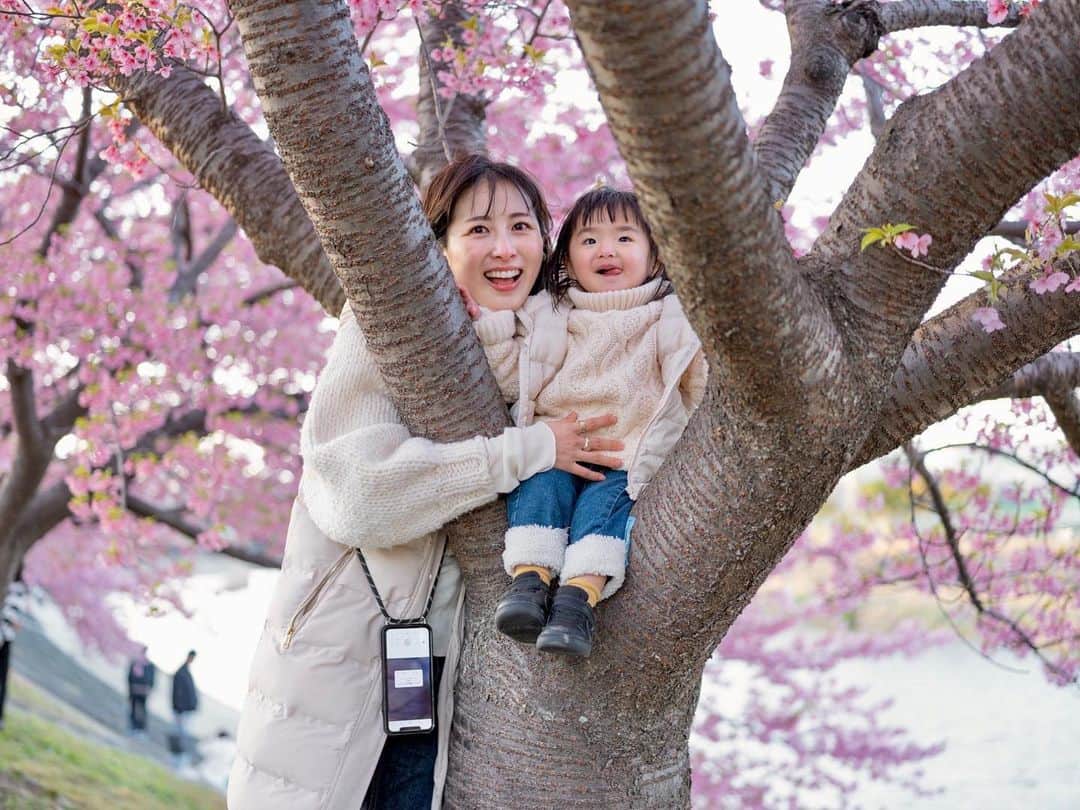 のインスタグラム：「少し早めの花見〜 ふうかちゃん急成長中〜 ここの桜初めて行ったけどすごくキレーだったー✨✨ 来年も行きたいなー☺️ #乙川河川敷#河津桜#🌸」
