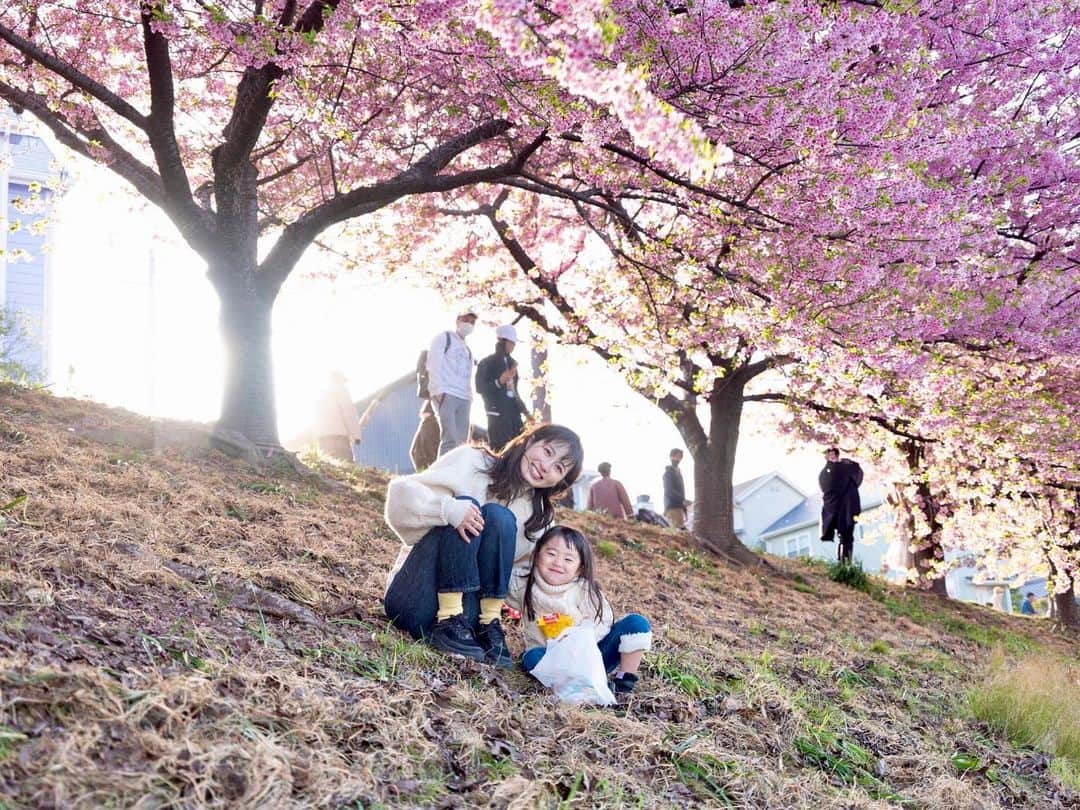 のインスタグラム：「さくらちゃんがどんどんコミカル化してる☺️笑 この時もママ大好きだよー幸せーって言ってたと思うんだけど、顔が言ってない笑 葉桜だけどめっちゃきれーだった😍 #乙川河川敷#河津桜#🌸」