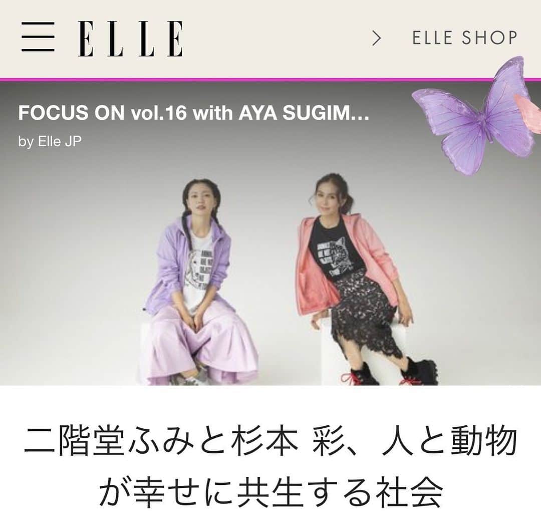 杉本彩のインスタグラム：「* * 二階堂ふみさんがELLEでファッションと共に発信している企画です❗️  今回のテーマは、『人と動物が幸せに共生する社会』  是非ご覧ください😉  私のストーリーとハイライトのリンクからご覧になれます！  #ELLE #二階堂ふみ #人と動物が幸せに共生できる社会」