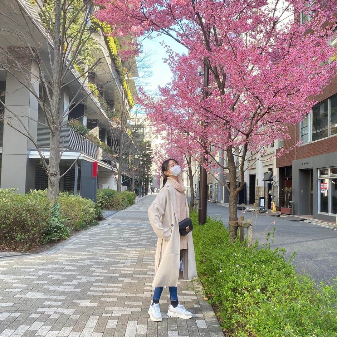 林芽亜里さんのインスタグラム写真 - (林芽亜里Instagram)「🎀 ⁡ この日もポニテにリボン🌼 そしてまたまた10連発😂 ⁡ 日中はとても暖かかったんだけど、夜になるとやっぱり寒かった~!! ⁡ 沢山歩いて、桜も見れて、綺麗な夜景も見れて、とても楽しかった日でした🤭 ⁡ ⁡ #林芽亜里」3月21日 18時06分 - meari__hayashi