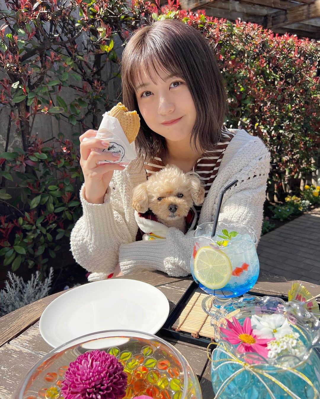 のインスタグラム：「. 先日家族で川越散策してきました🤭♪  最近できたカフェに行ったんだけど すごく可愛くてテラス席もあるので もなちゃんつれてまた絶対行きたい🐶🌼  金魚焼き美味しかったです♡ 2枚目狙われてる...🐟  みなさんもよかったらいってみてね〜！  ☕️ @kingyotei_kawagoe  #川越カフェ #小江戸川越 #金魚亭」