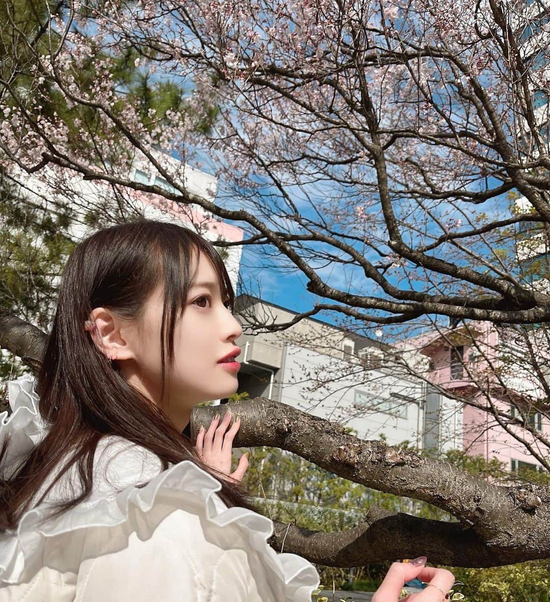 藤田いろはのインスタグラム：「桜がちょっとだけ咲いてた🌸✨ ちょうど　@liquem.tokyo の新作の桜の花びらのイヤリングつけてたから嬉しかった☺️💗 この桜の花びらのイヤリングかわいくて好きー！ いやあ春ですなあ…」