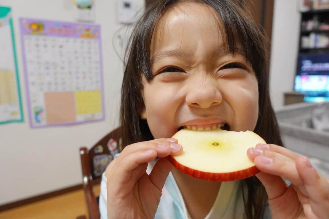 ゆうひなたのインスタグラム：「. . . お久しぶりの山金りんごー🤩🤩🤩. . . . 綺麗なりんごいーっぱいと リンゴジュースが届きました🤤. . . 早速お風呂あがりに ゆうひなが選んだりんごを 食べました😋😋. . . 最近毎日スーパーのりんごを 食べてたから、違いがびっくり！ 超ジューシー！！！！🍎💗💗💗 最高😭✨✨ ゆうひは美味しすぎて 写真の通り飛んでいました🤪笑. . . 最近は、山金さんに伝授して頂いた通り 輪切りにして皮ごと食べています😬♩. . . ジュースも濃くてとっても 美味しいんだよ〜😋 山金りんご大好きー😚😚😚💗. . . .」