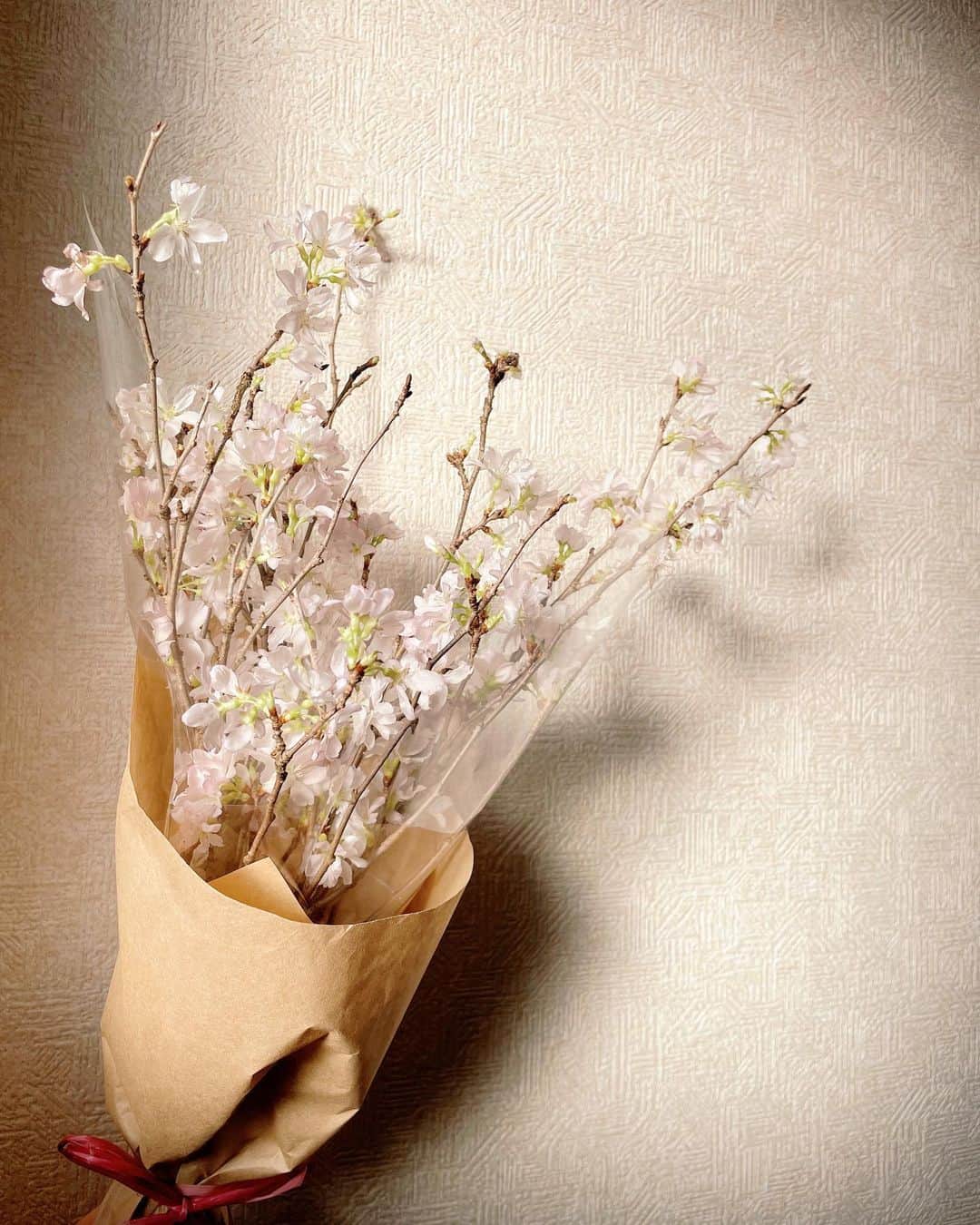 未梨一花のインスタグラム