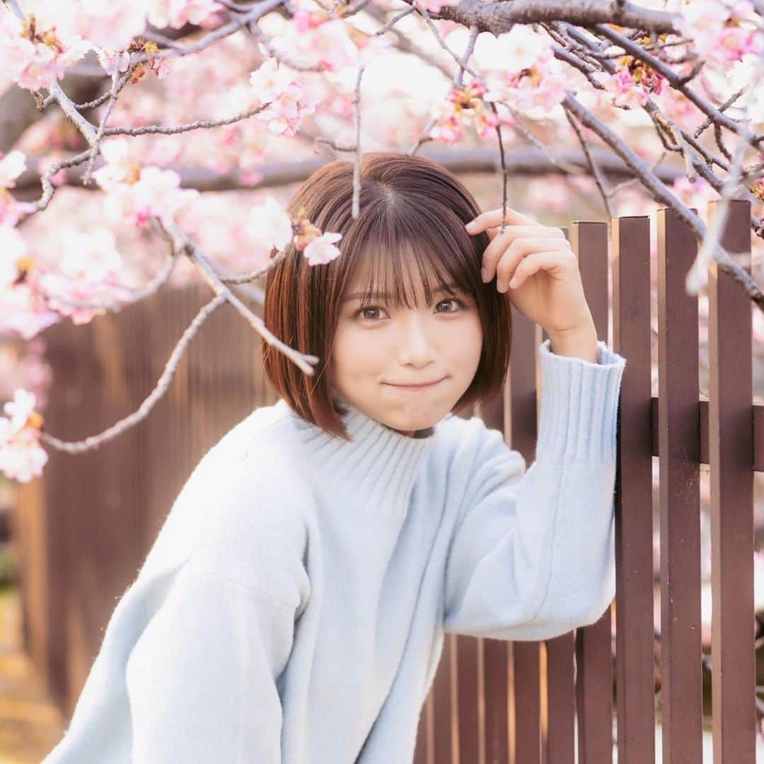 山本ゆうかのインスタグラム：「今年も多くのカメラマンさんに桜とのお写真を撮ってもらってハピネスです！ありがとうございます🍡✨  #淀 #淀水路 #snidel #mercuryduo #河津桜 #関西観光 #桜撮影 #桜 #河津桜 #神戸ウエディングクイーン #第12代神戸WDQ #12thKWDQFinalists #guコーデ #桜スポット #関西桜」