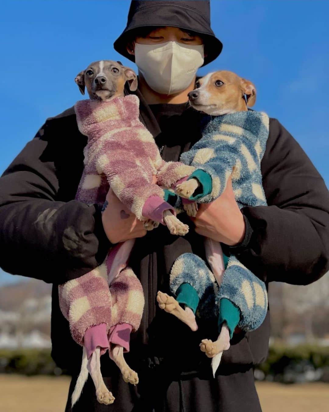 のインスタグラム：「🐶🐰🐶 ⁑ ⁑ 너무 좋아해💜 ʕ•̫͡•ʕ•̫͡•ʔ•̫͡•ʔ•̫͡•ʕ•̫͡•ʔ•̫͡•ʕ•̫͡•ʕ•̫͡•ʔ•̫͡•ʔ•̫͡•ʕ•̫͡•ʔ•̫͡•ʔ ⁑ ⁑ #Jungkook」