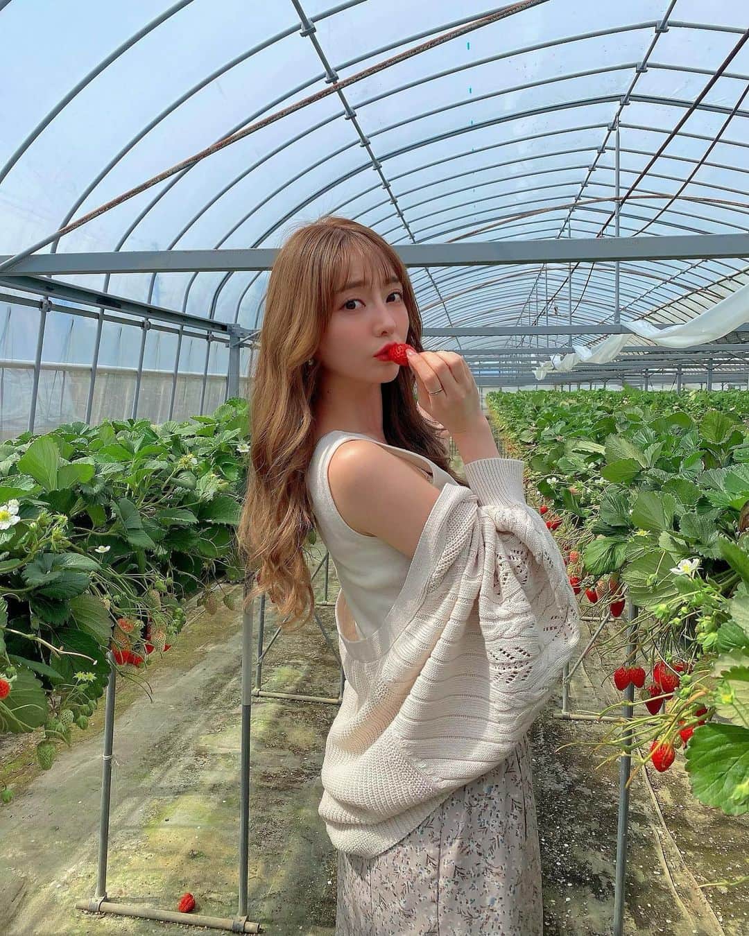 堀尾実咲のインスタグラム：「いちご狩り行ってきたよ🍓  静岡県湖西市の 【大倉戸 観光農園】です✨  🍓あきひめ 🍓紅ほっぺ 🍓かおり野  3種類のいちごを 食べ比べできるよ☺️  いちご大好きだから幸せだった🤤  お近くの方はぜひ立ち寄ってみてね☺️  直売所ではパック販売もしてるよ🍓  🔍http://www.ookurado.com  #いちご狩り #いちご #苺 #イチゴ #いちご狩りコーデ #静岡県湖西市 #湖西市観光 #大倉戸観光農園 #大倉戸いちご」