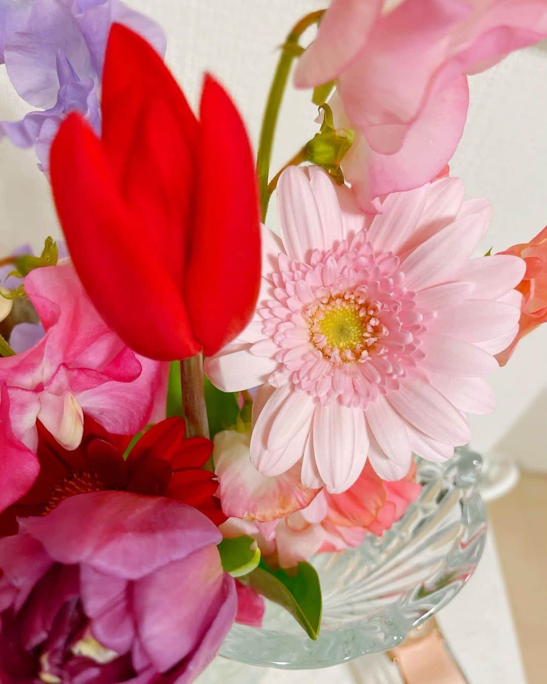 松山英礼奈さんのインスタグラム写真 - (松山英礼奈Instagram)「今日の寒さ何:(´ºωº｀): 日中も4℃て👼🏻  明日も寒いみたい🥺  皆さん風邪引かないように お気をつけてね𓂃𓈒𓏸❄️🧣ˊ˗  #🌸 #🌼 #🌷 #💐 #bouquet #flowers  #flower #spring」3月22日 19時48分 - hiiiiiiii0802