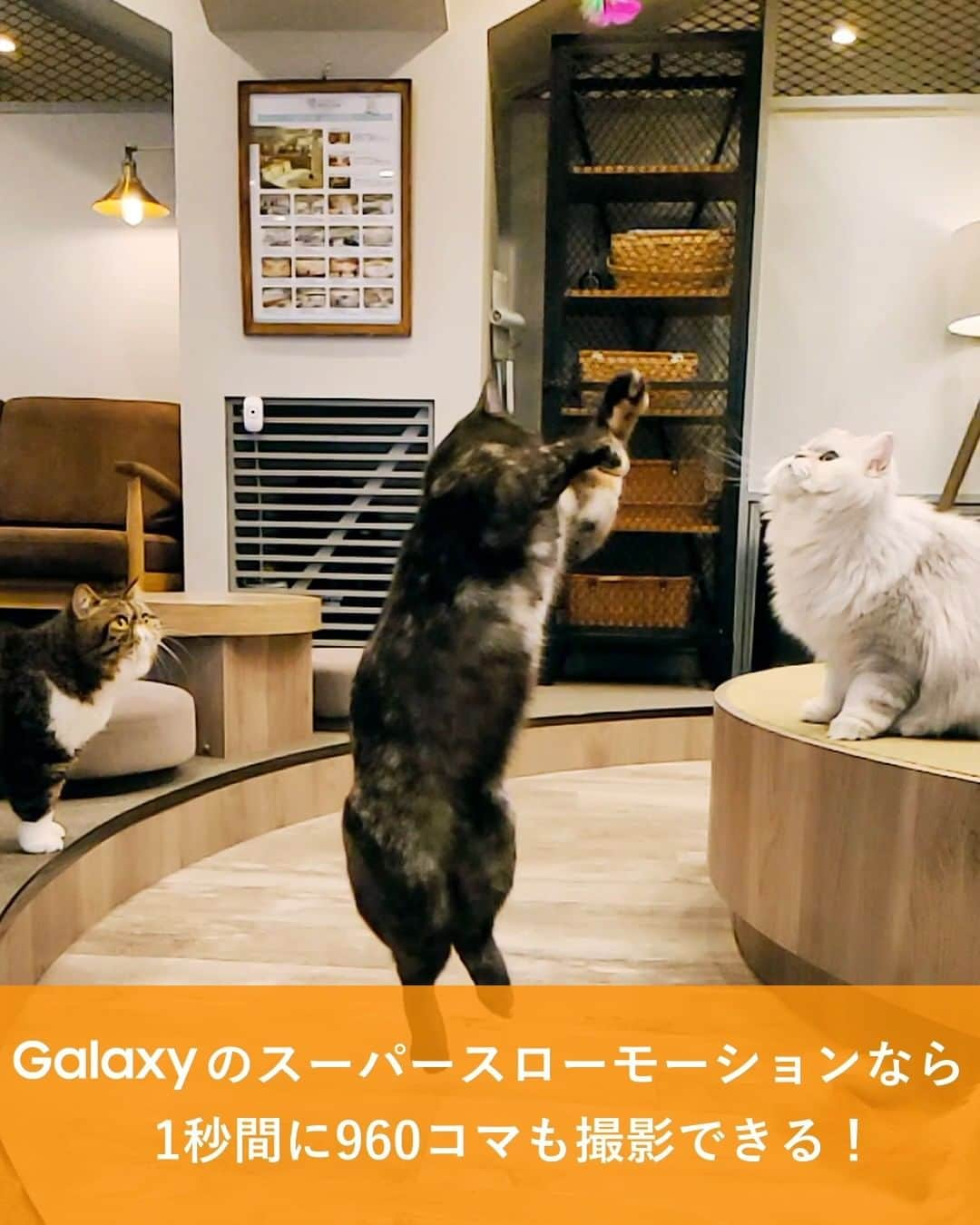 Galaxy Mobile Japanのインスタグラム