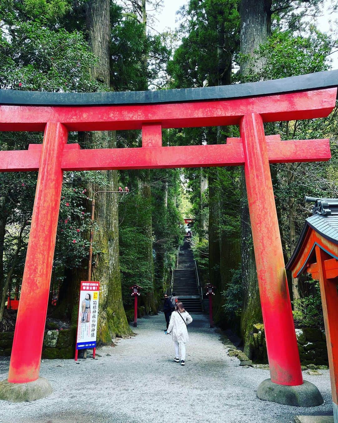 のインスタグラム：「箱根園で散歩して箱根神社⛩へお参りへ！ 数知れず箱根来てるけどまだ一度も箱根神社⛩お参りしてなかったんで初お参りへ 塔ノ沢温泉横の杣の栖へ！ 休みやがなー箱根の山ドライブやな！ 仙石原のカレー屋 Azure moon！テラスでインド🇮🇳カレー」